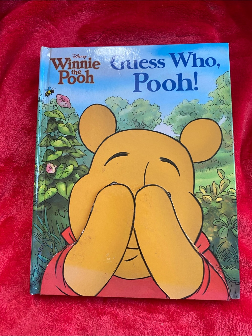 😎6/$50😎 Winnie the Pooh-Guess Who, Pooh!Book